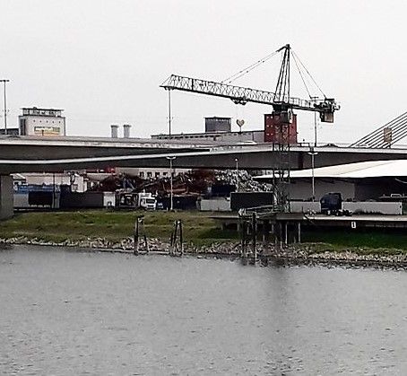 Mannheimer Hafen: Verladestation unterhalb der Rheinbrücke